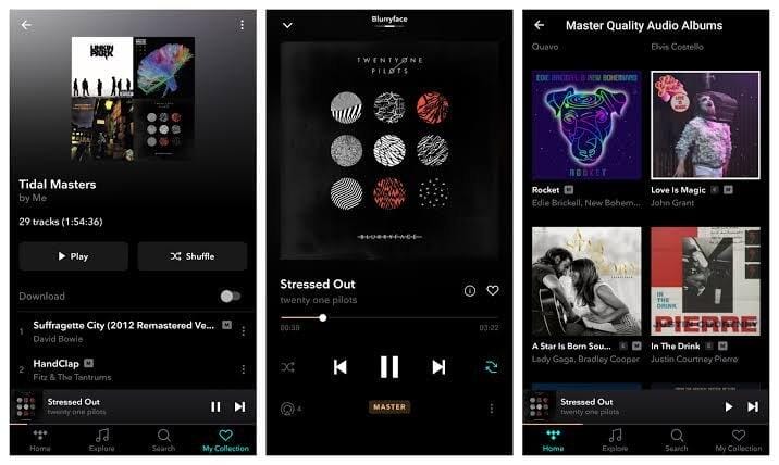 tidal premium apk