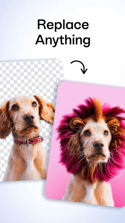 Bazaart Apk Download