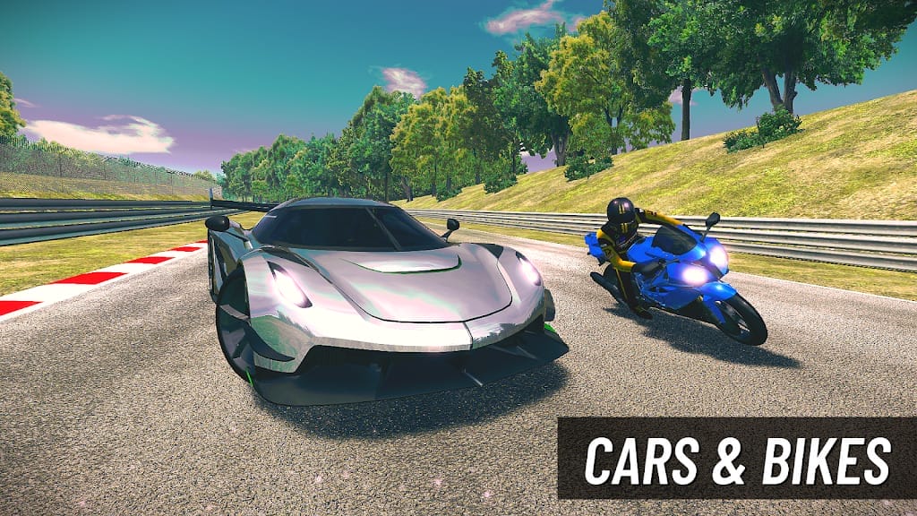 Racing Xperience Driving Sim Apk