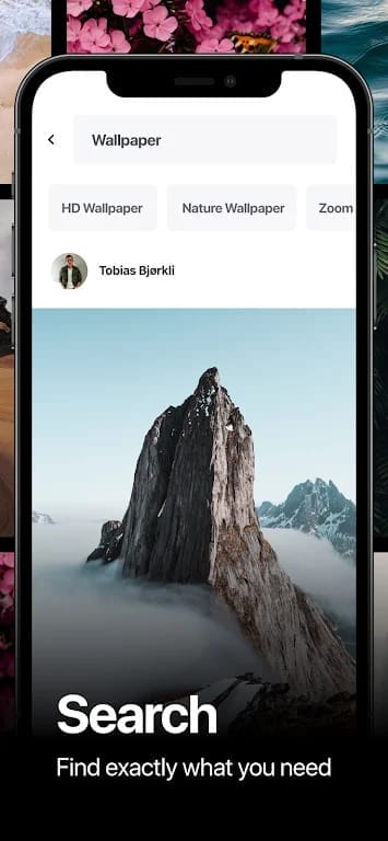 Pexels Download Free