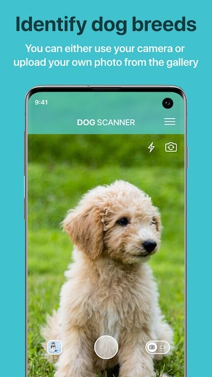 Download Dog Scanner