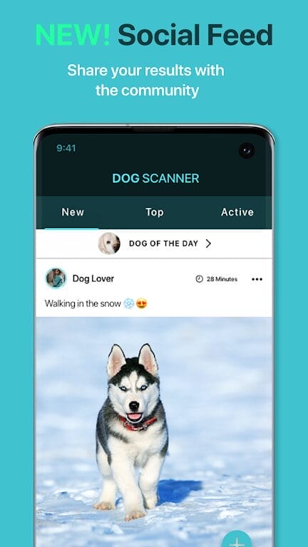 Dog Scanner Download