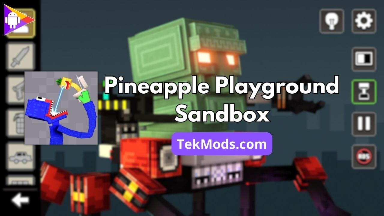 Pineapple Playground Sandbox