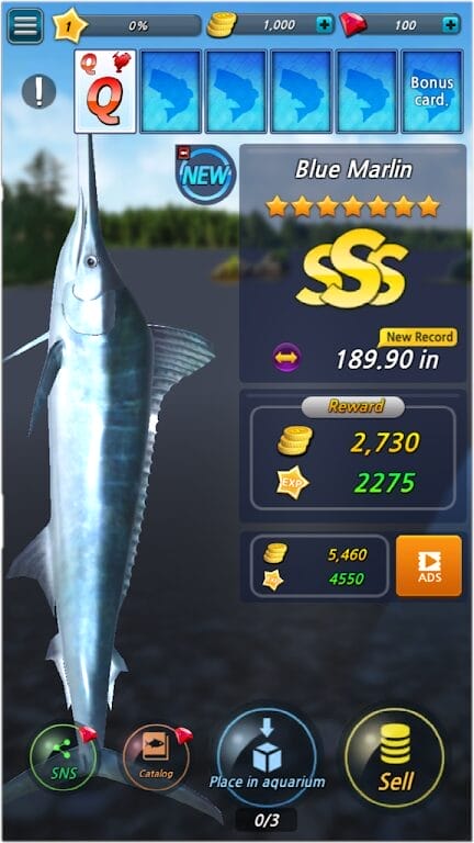 Fishing Season Apk