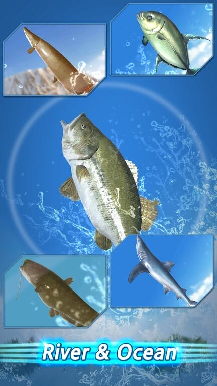 Fishing Season Download