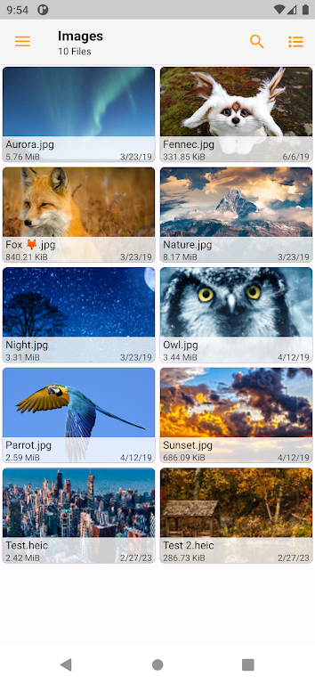 Fennec File Manager Premium Apk