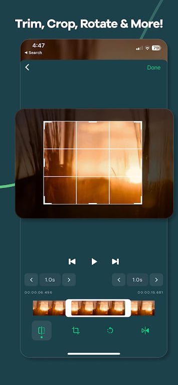 Video Converter Remux Download