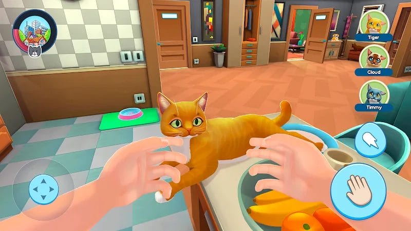 Cat Simulator Download