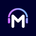 Musify - Online Music Player