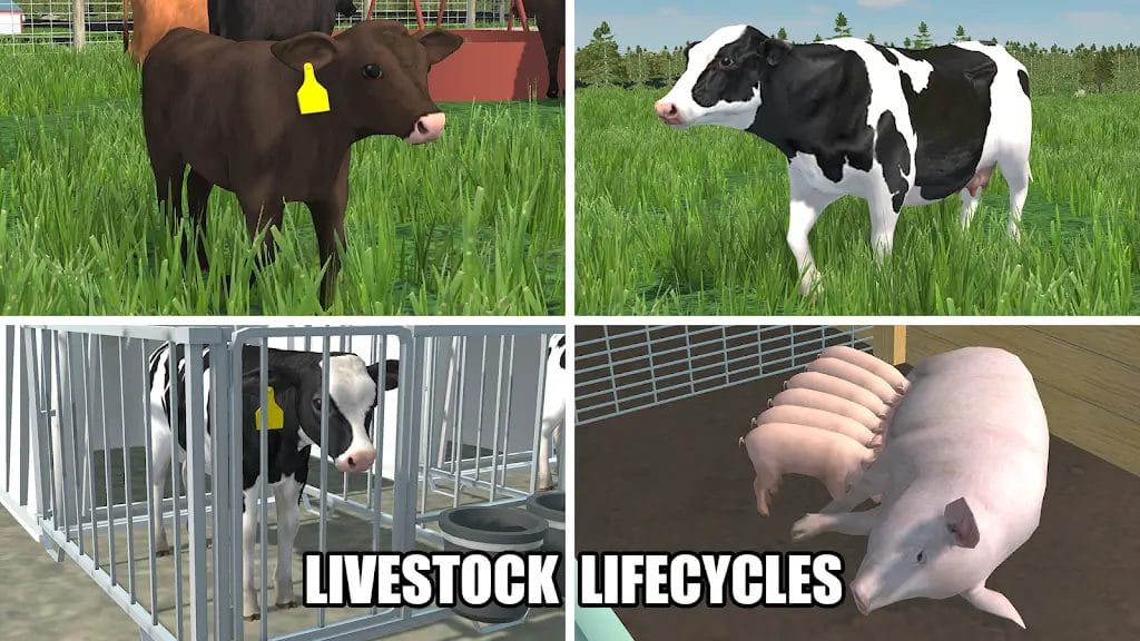 American Farming Download Android