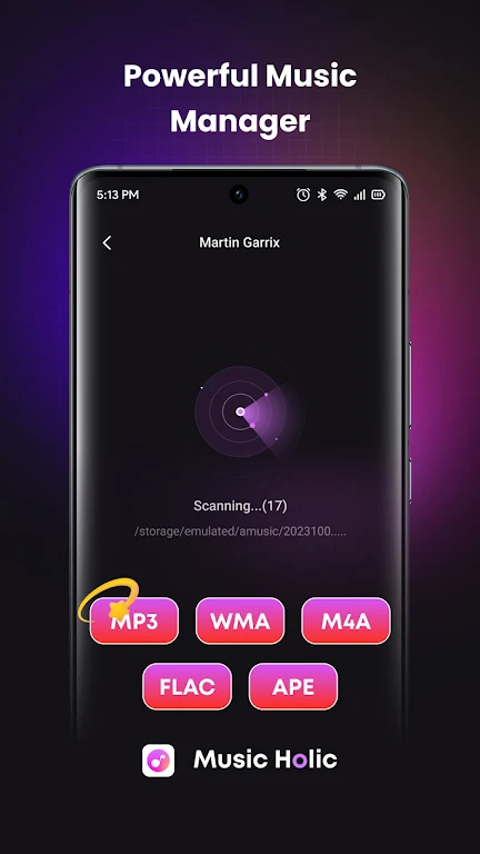 Music Holic Apk