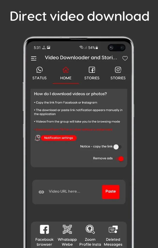 Video Downloader And Stories Mod