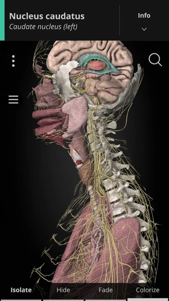 Anatomyka Mod Apk