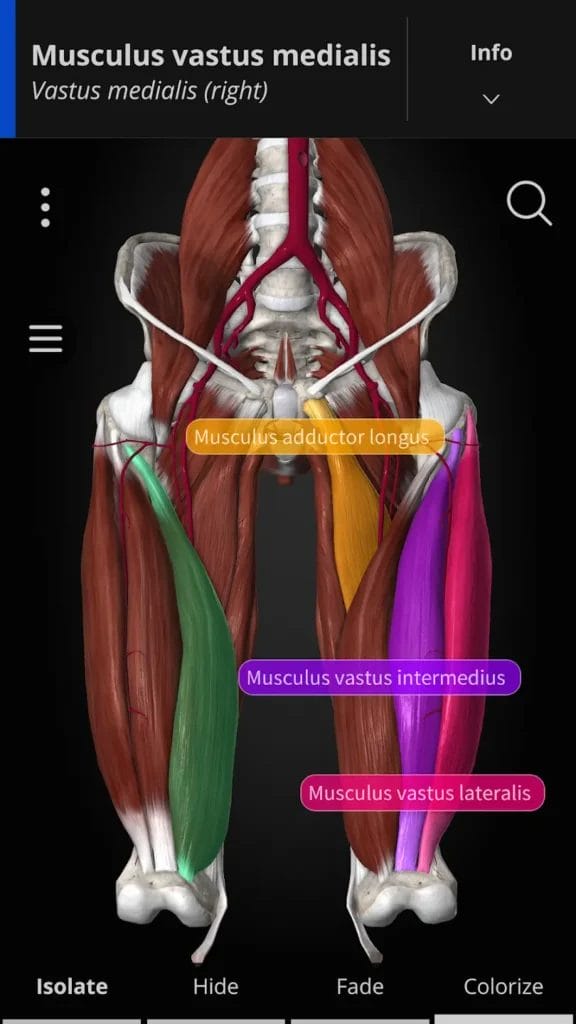 Anatomyka Atlas Mod Apk