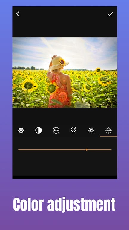 Download GIF Maker