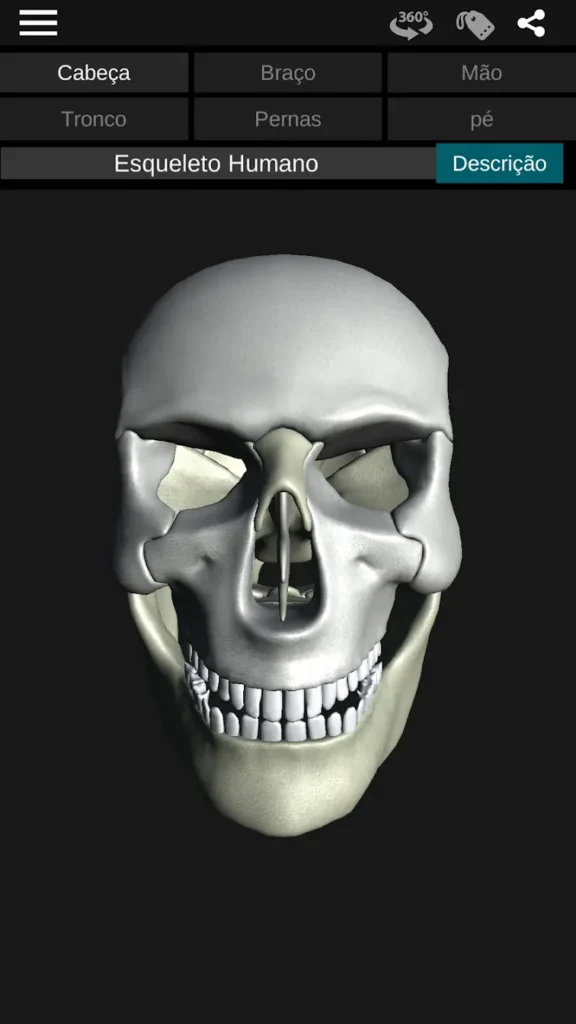Osseous System in 3D Apk Mod