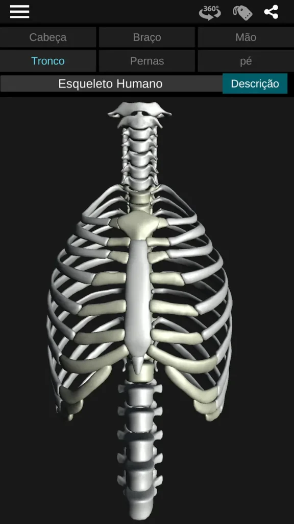 Osseous System in 3D Apk Mod Download