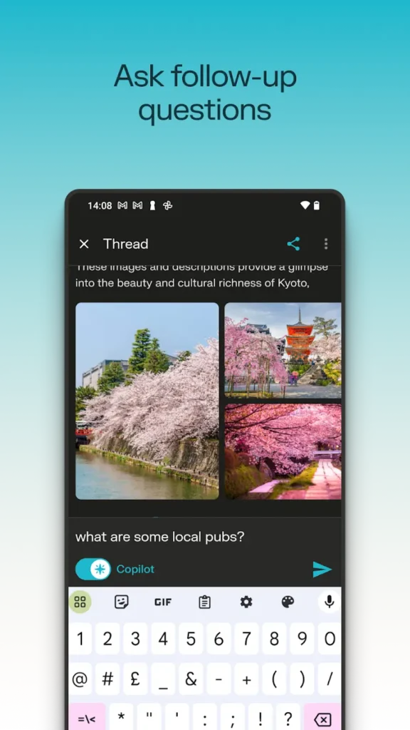 Perplexity App