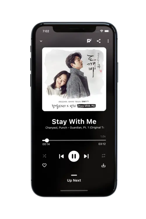 BlackHole Music APK Android
