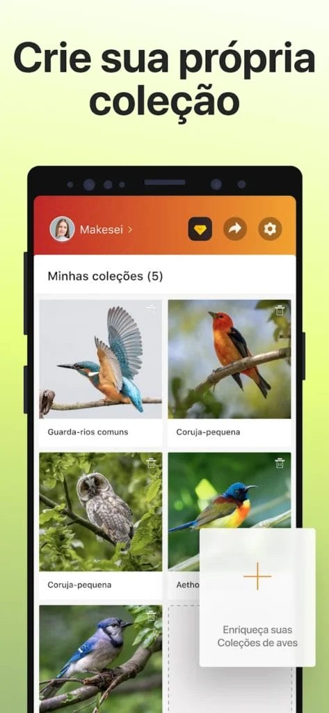 Picture Bird Mod Apk