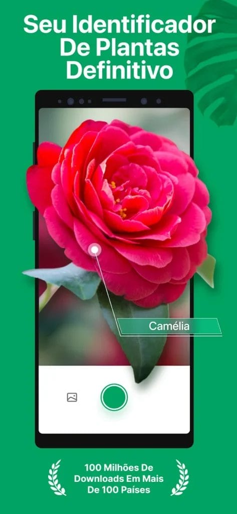 Picturethis App