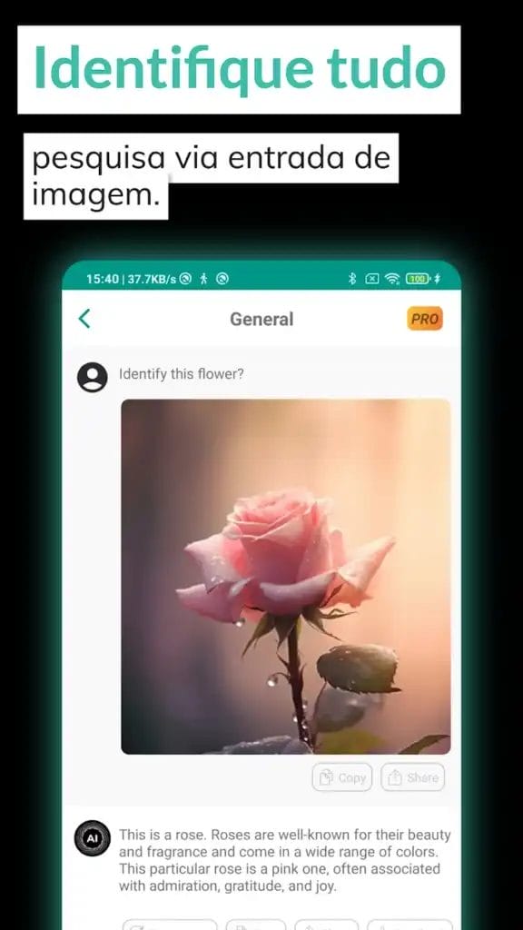 Ai Chatbot 4o Download Apk