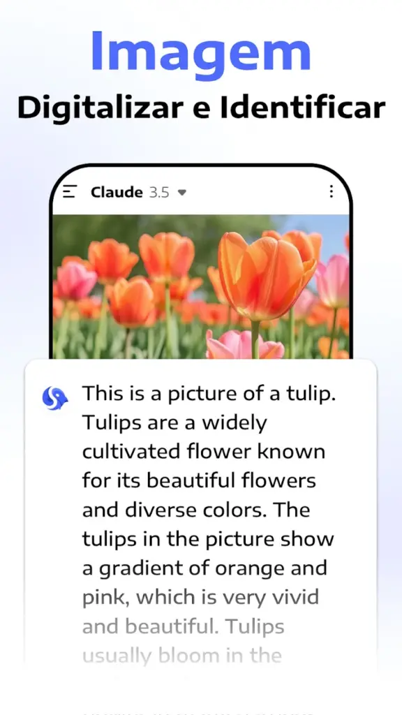 Ai Seek App